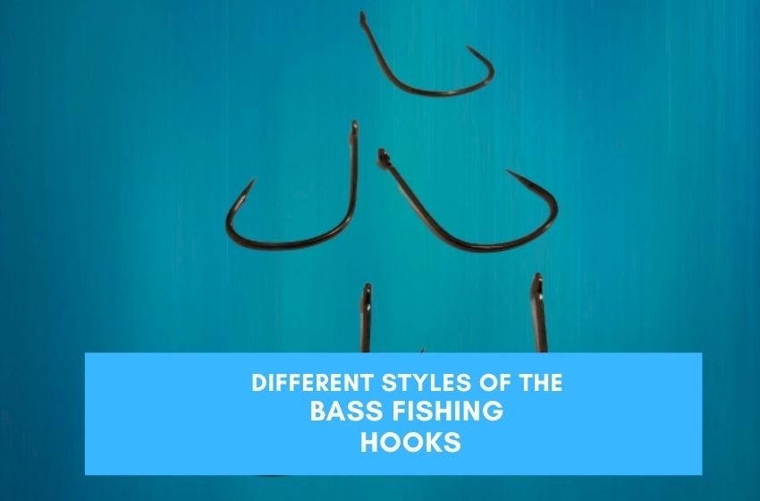 Best hooks for bass fishing