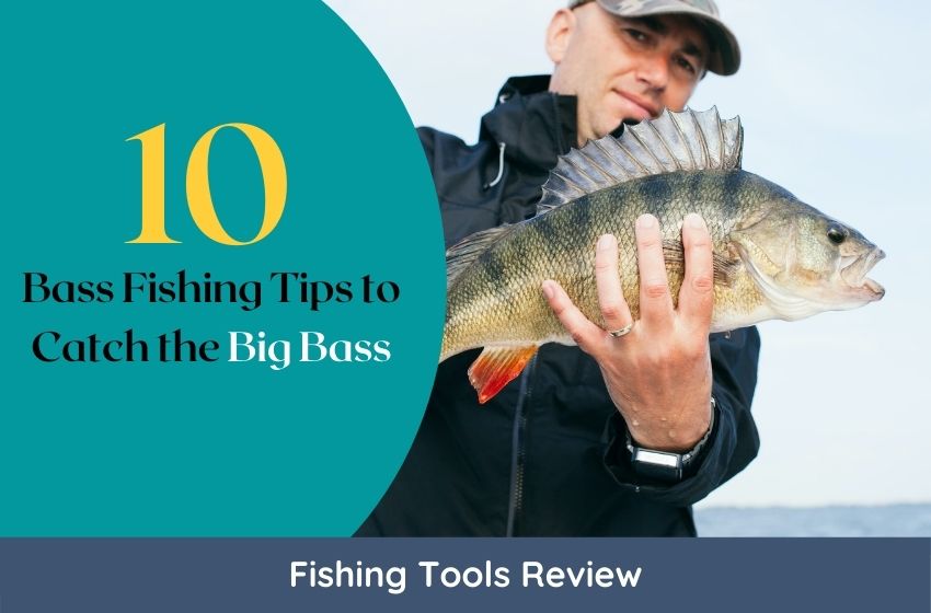 Various bass fishing lures