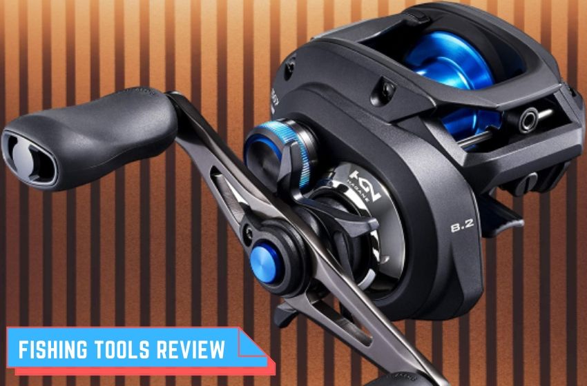 Best Shimano Baitcasting Reels