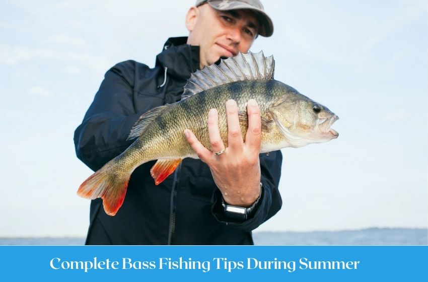 Complete Bass Fishing Tips During Summer